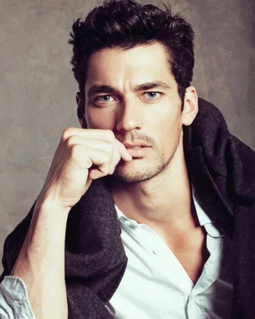 David Gandy British Model Paint By Numbers