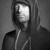 Eminem Photoshoot paint by numbers