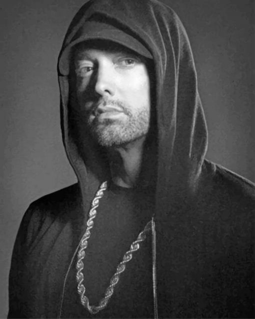 Eminem Photoshoot paint by numbers