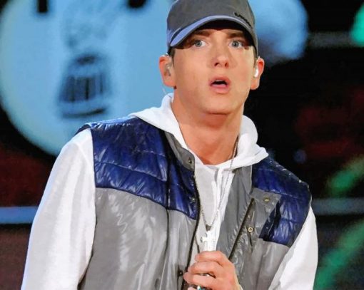 Eminem the american rapper paint by numbers