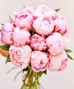 flower bouquet pink peony adult paint by numbers