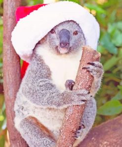 Funny Christmas Koala paint by numbers