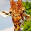 Funny Giraffe paint by numbers