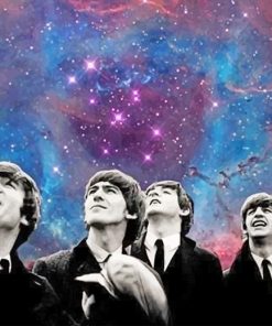 Galaxy Beatles Paint By Numbers
