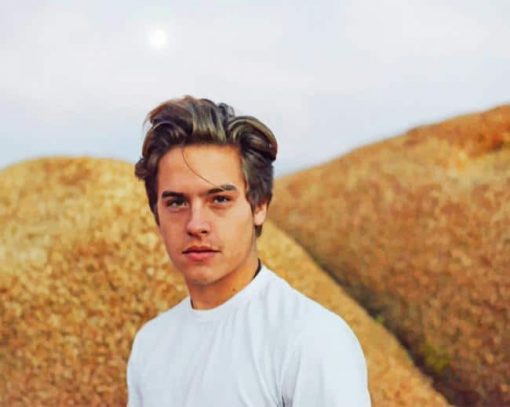 Handsome Dylan Sprouse Paint By Numbers