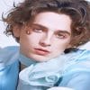 Handsome Timothee Chalamet Portrait paint by number