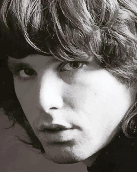 Jim Morrison The Doors paint by number