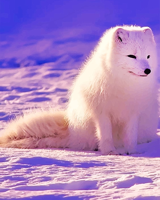Lovely Arctic Fox paint by number