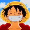 Luffy Smiling One Piece paint by numbers