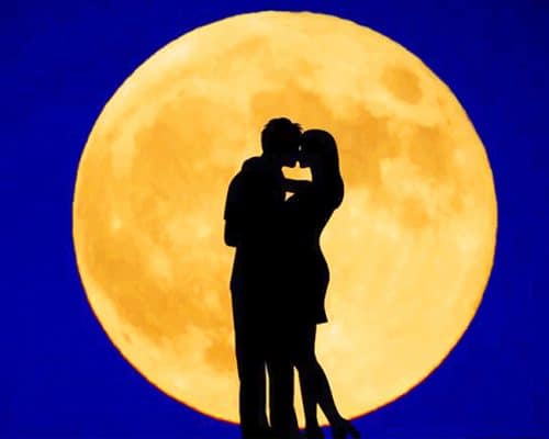 Moon Lovers Silhouette - Paint By Numbers - NumPaint - Paint by numbers