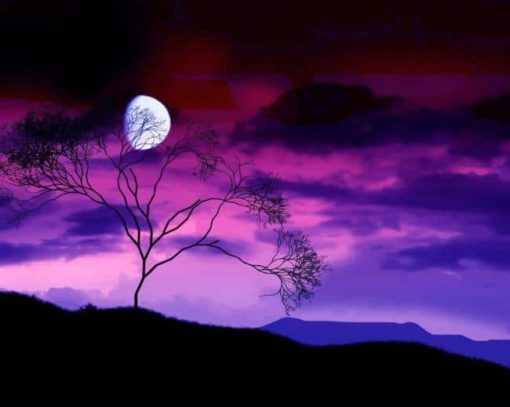 Nature Purple Sky paint by number
