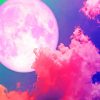 Pink Full Moon paint by number