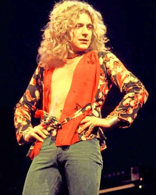 Robert Plant Singing paint by number