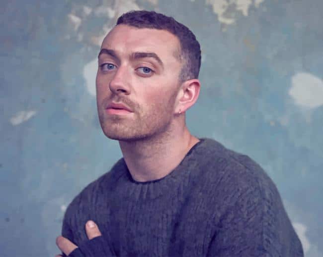 Sam Smith Paint By Numbers