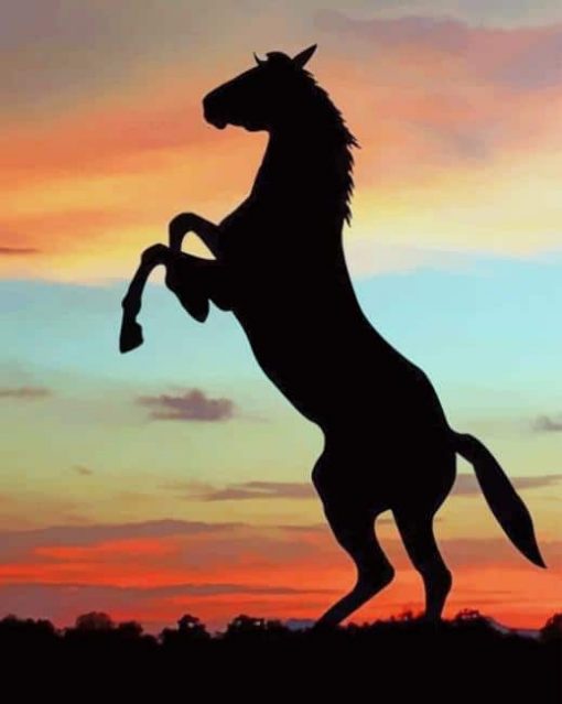 Silhouette of Horse at The Sunset paint by numbers