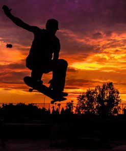 Skateboarding At Sunset paint by number