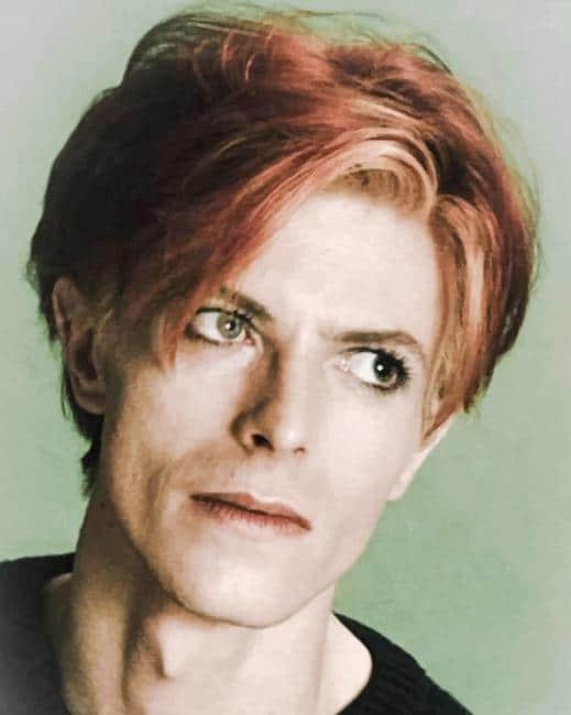 the famous singer david bowie paint by numbers