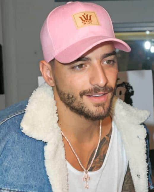The Famous Singer Maluma paint by numbers