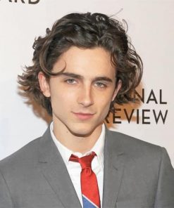 The Handsome Timothee Chalamet with Classy Suit paint by numbers