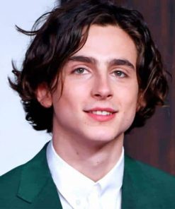 Timothee Chalamet With Green Suit paint by numbers