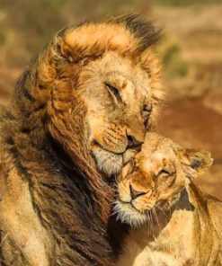 True Love Cute Lion and Lioness paint by numbers