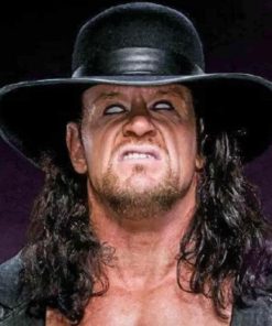 Undertaker WWE Paint By Numbers