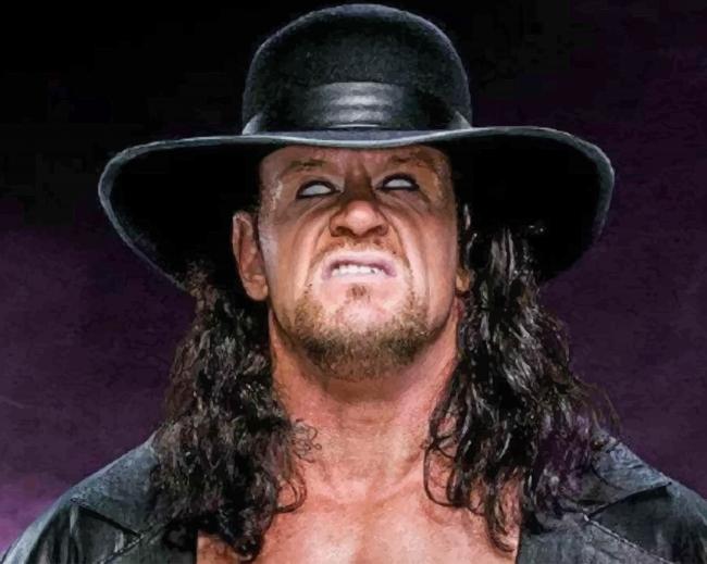 Undertaker WWE Paint By Numbers