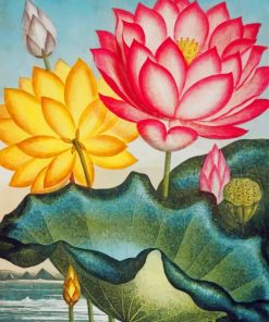 Water Lily Vintage Art paint by number