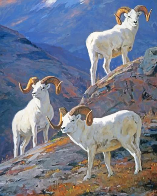 White Big Horned Sheeps Artwork paint by number
