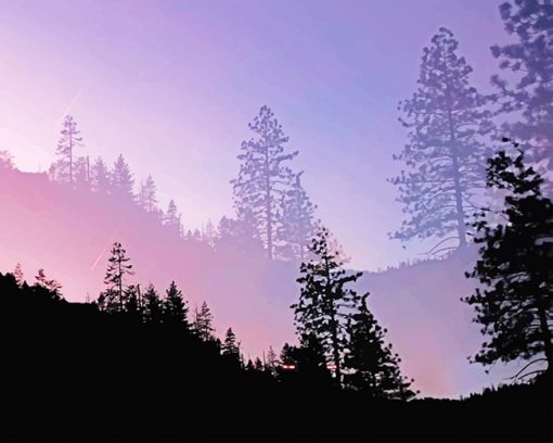 Yosemite Valley Trees Silhouette paint by number