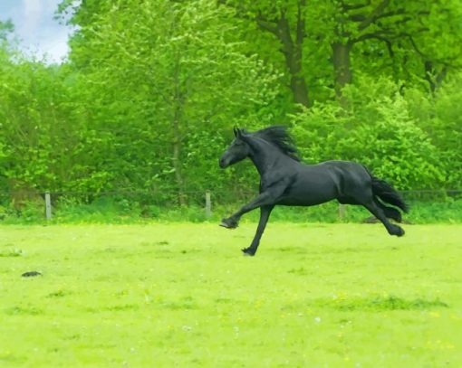 Black Horse Running On Grass Field paint by numbers