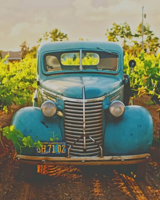 Classic Blue Vehicle In Vine Yard paint by numbers