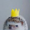 King Hedgehog paint by numbers