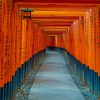 Torii Gates paint by numbers