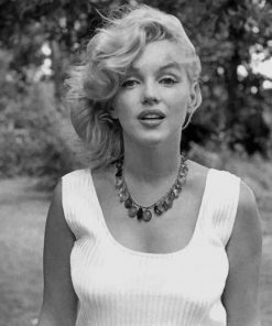 Beautiful Marilyn Monroe paint by numbers