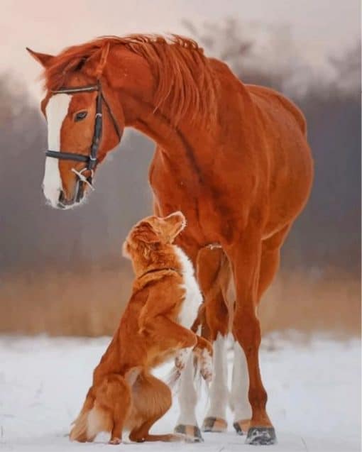 Beautiful Horse And Dog paint by numbers