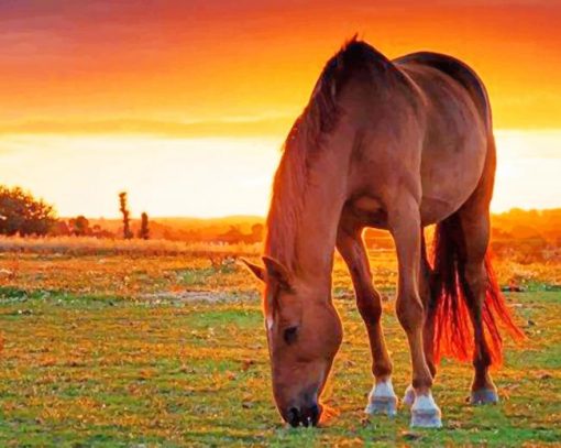Big Horse Sunset paint by numbers