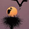 Birds Silhouette paint by numbers