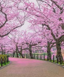 Cherry Blossom Trees paint by numbers
