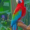 Macaw Parrot On Tree paint by numbers