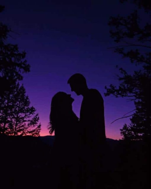 Couple Silhouette paint by numbers
