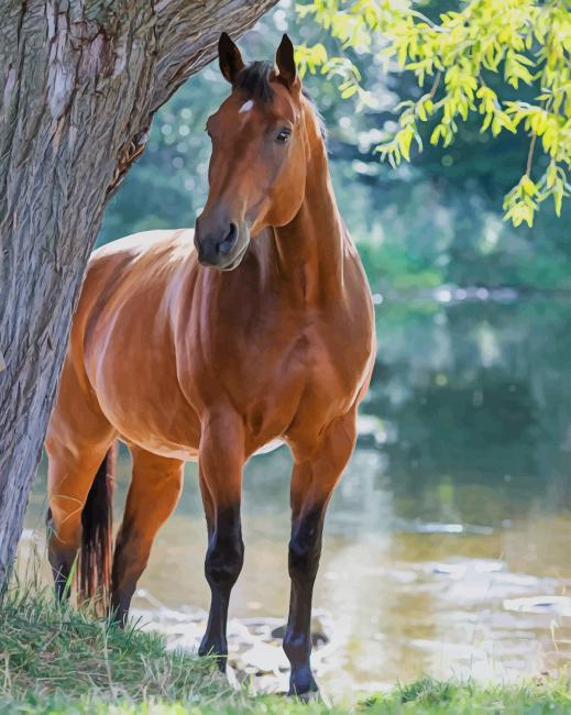 brown horse images