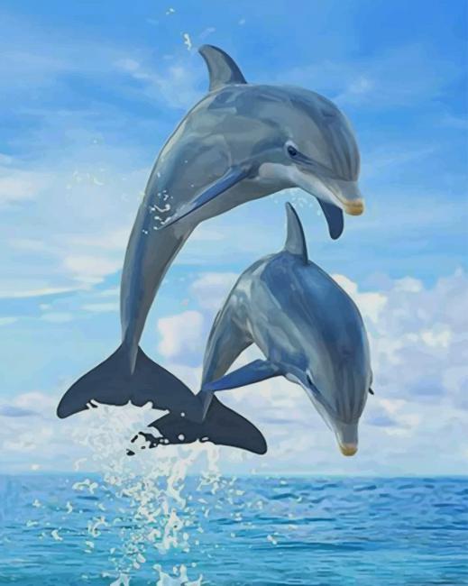 Dolphin Doing A Flip paint by numbers