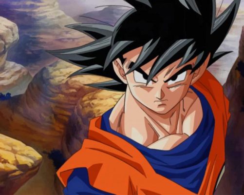 Goku Dragon Ball Z Animations Paint By Numbers Num Paint Kit
