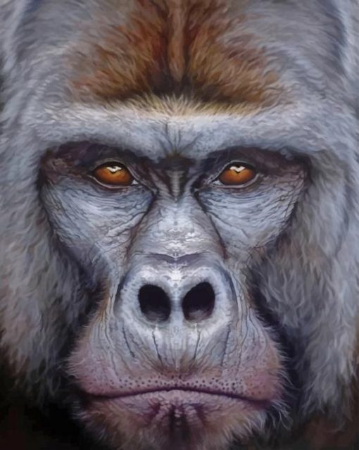 Gorilla Portrait paint by numbers