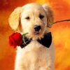 Puppy Holding A Flower paint by numbers