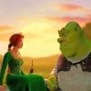 shrek And Princess Fiona paint by numbers