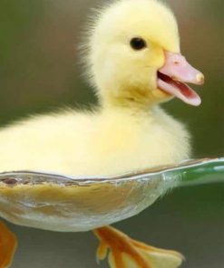 Yellow Cute Baby Duck paint by numbers