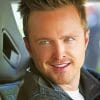 Actor Aaron Paul paint by numbers