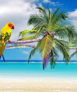 Beach Parrots Paint By Numbers